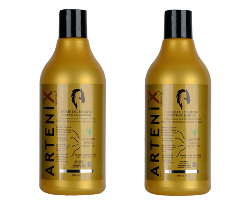 2 adet Artenix Çay Ağacı Ve At Kuyruğu Özlü Şampuan
